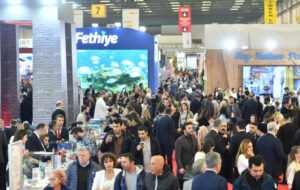 Fronius Türkiye: 2026’da Dijital Satış ve Servis Ağı Büyüyecek