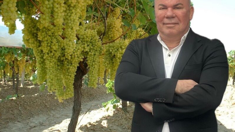 Saki İçecek: 1.100 Dönüm Bağda Kalite Sürekliliği Sağlıyor