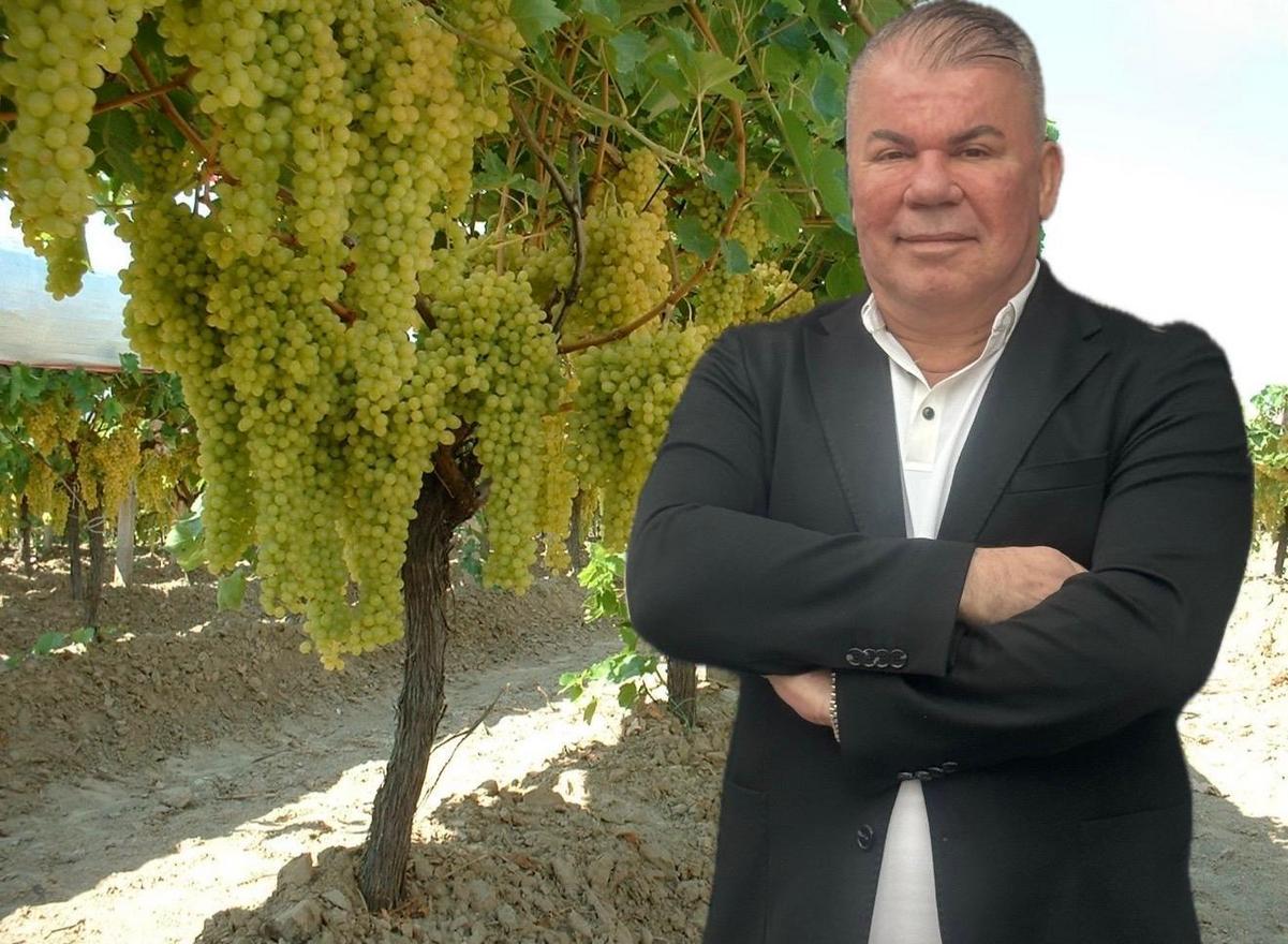 Saki İçecek: 1.100 Dönüm Bağda Kalite Sürekliliği Sağlıyor